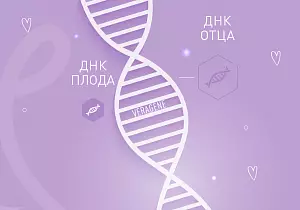 НИПТ тест при беременности