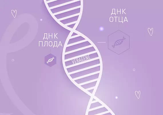 НИПТ тест при беременности