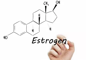 Эстроген и его роль в организме женщины