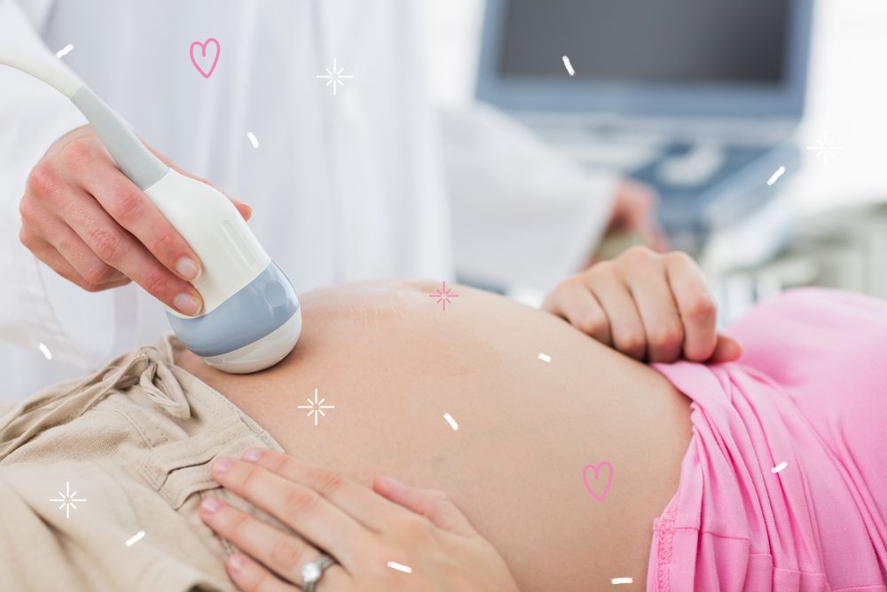 УЗИ во 2 триместре беременности при многоплодной беременности (14-28 недель)