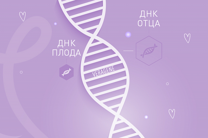Неинвазивный пренатальный тест ДНК Неинвазивный пренатальный тест ДНК